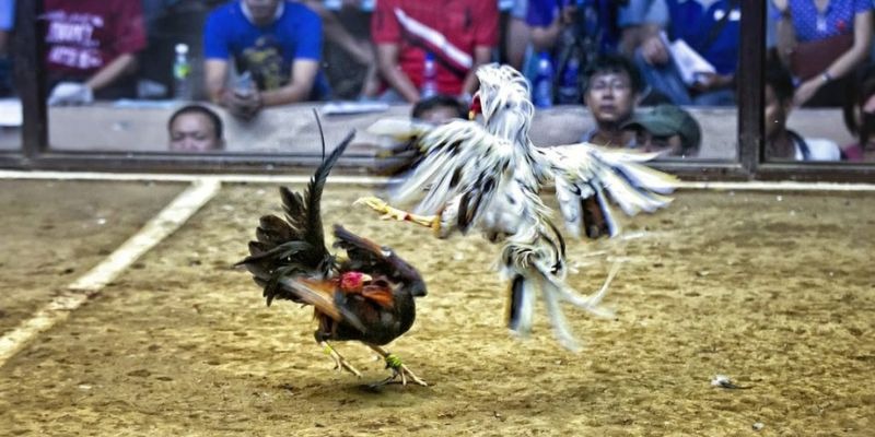 vin777 b1 ﻿đăng nhập lô đề uy tín