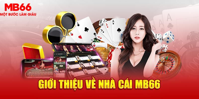vin777 b1 MG Trực Tuyến