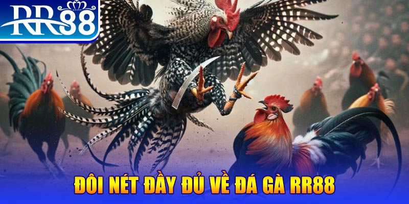 vin777 b1 gà chọi hoà phong