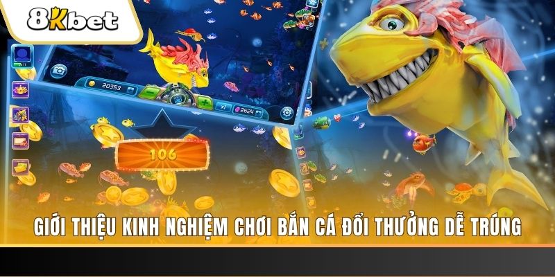 vin777 b1 xổ số miền bắc hôm