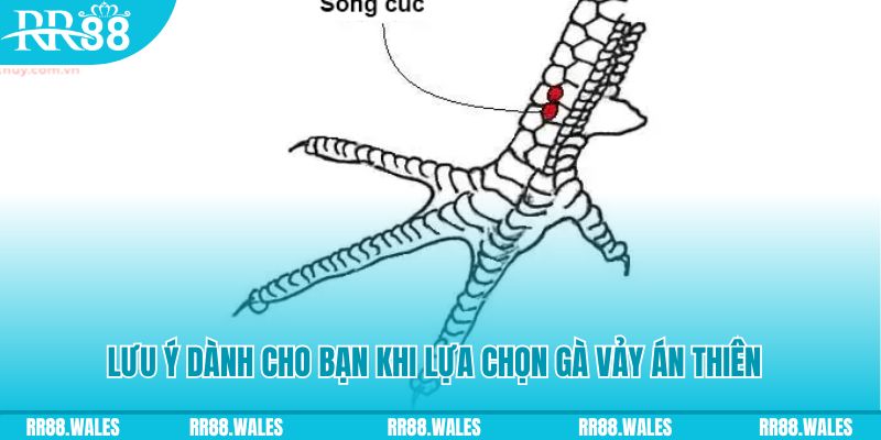 vin777 b1 xổ số khánh hòa