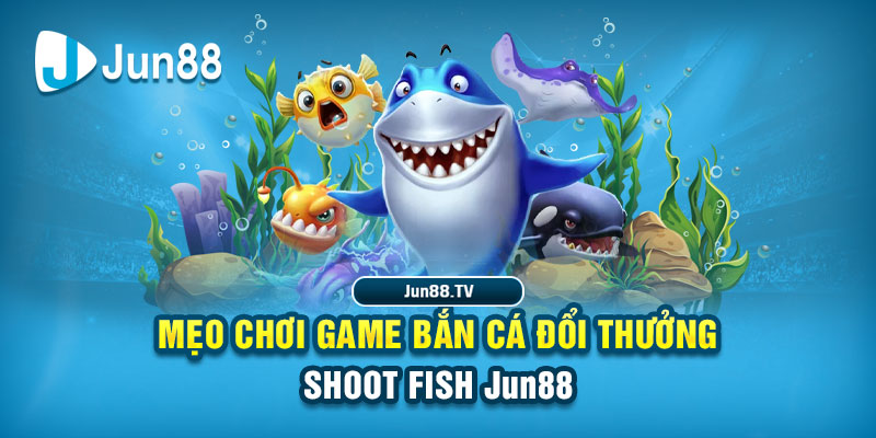 vin777 b1 tải game đánh bài online về máy tính