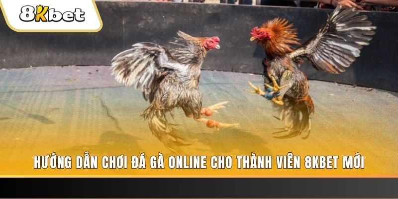 vin777 b1 nổ hũ đổi thưởng . ai