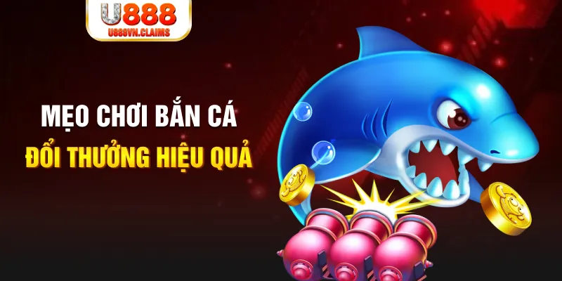 vin777 b1 xổ số thứ năm hàng tuần