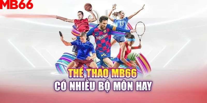 vin777 b1 slot là gì nghĩa