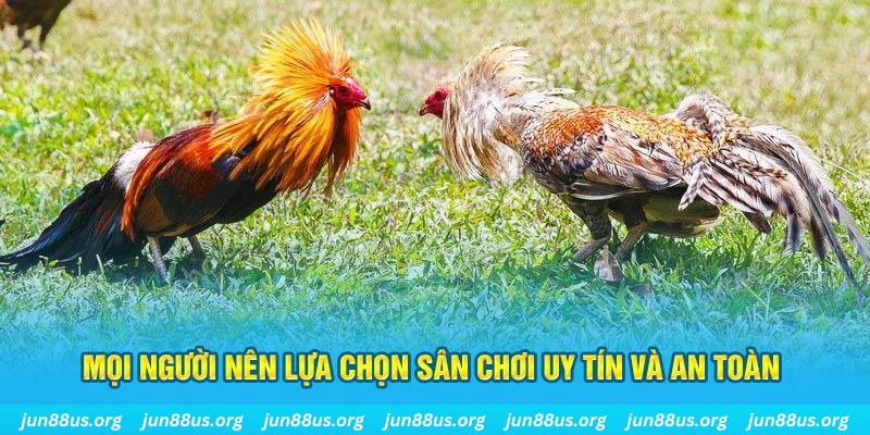 vin777 b1 Tài Xỉu