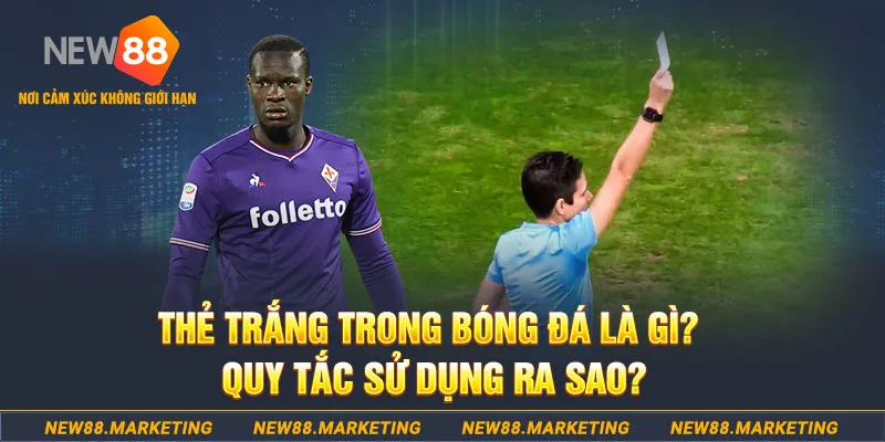 vin777 b1 nổ hủ là gì
