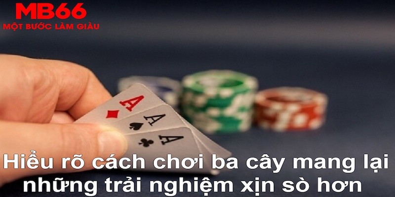vin777 b1 DB Trực Tuyến